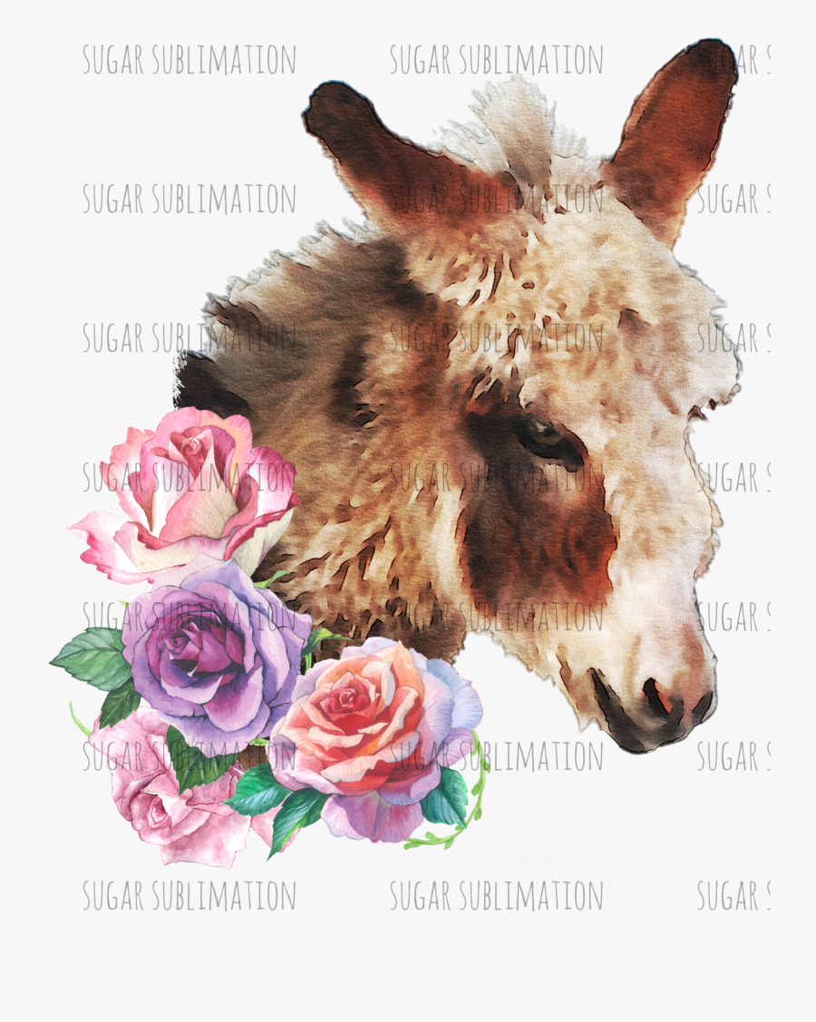 Burro, Transparent Clipart