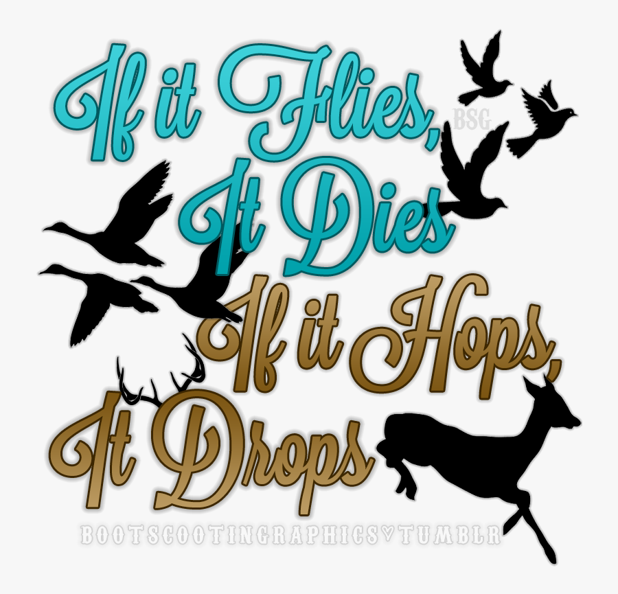 Vector, Transparent Clipart