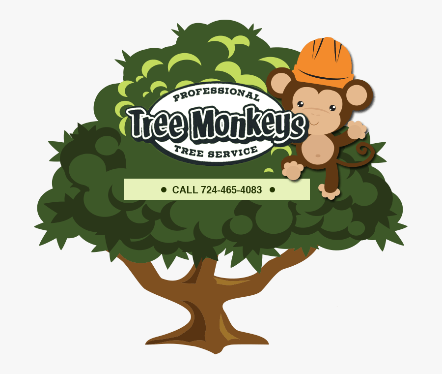 Monkeys In A Tree Clipart - Monkey Tree Service, Transparent Clipart