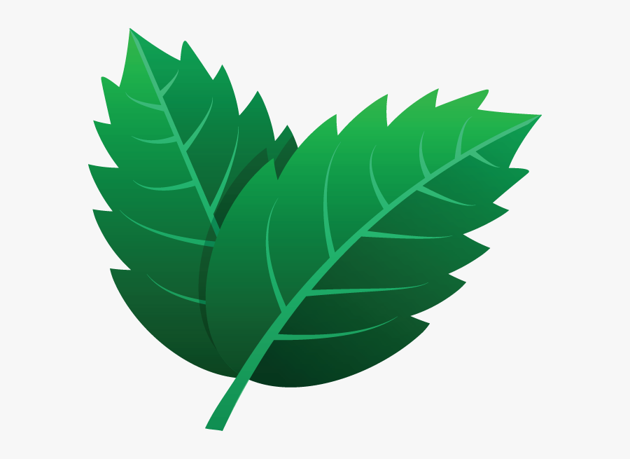 Hojas Illustration Png, Transparent Clipart