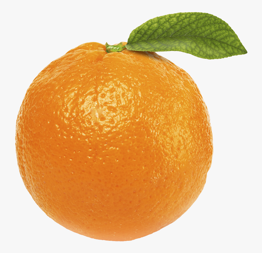 Orange Png Image Free - Transparent Background Orange Png, Transparent Clipart