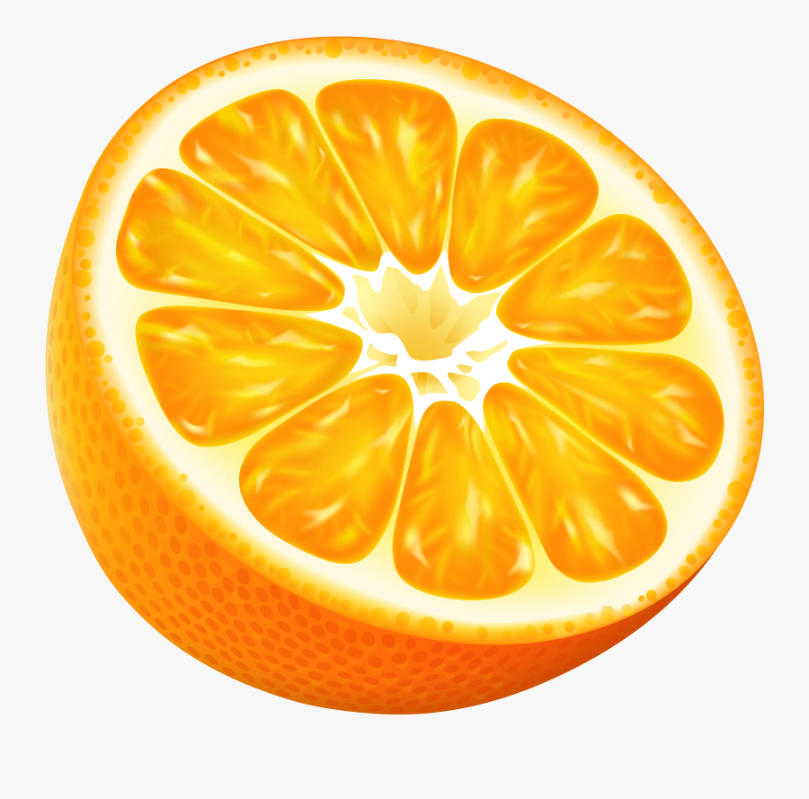 Vector Orange Slice Orange Png, Transparent Clipart
