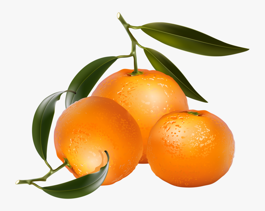 Jwc1mjiqecdy - Orange Fruits Clip Art, Transparent Clipart
