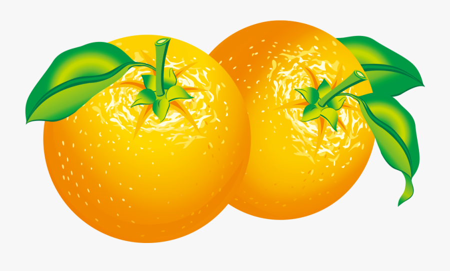 Orange Citrus Clip Art - Orange Fruit Vector Png, Transparent Clipart