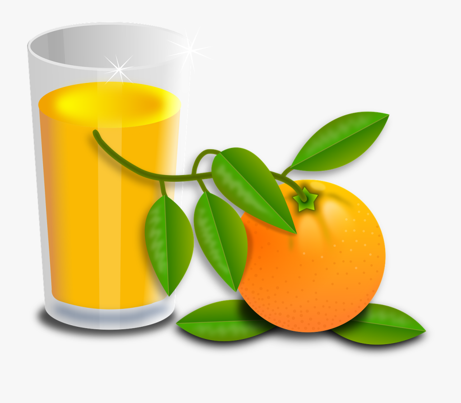 Oranges Fruit Fruits Orange Tree Png Image - Clipart Pohon Jeruk, Transparent Clipart