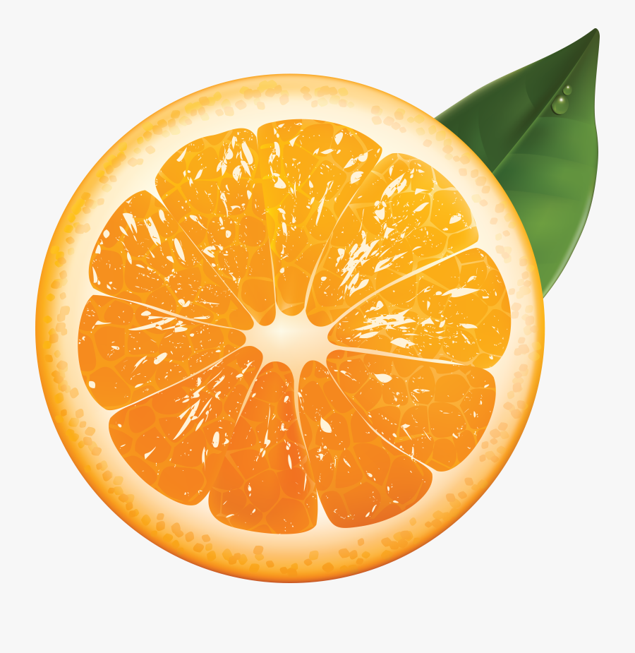 Transparent Oranges Clipart - Orange Png, Transparent Clipart