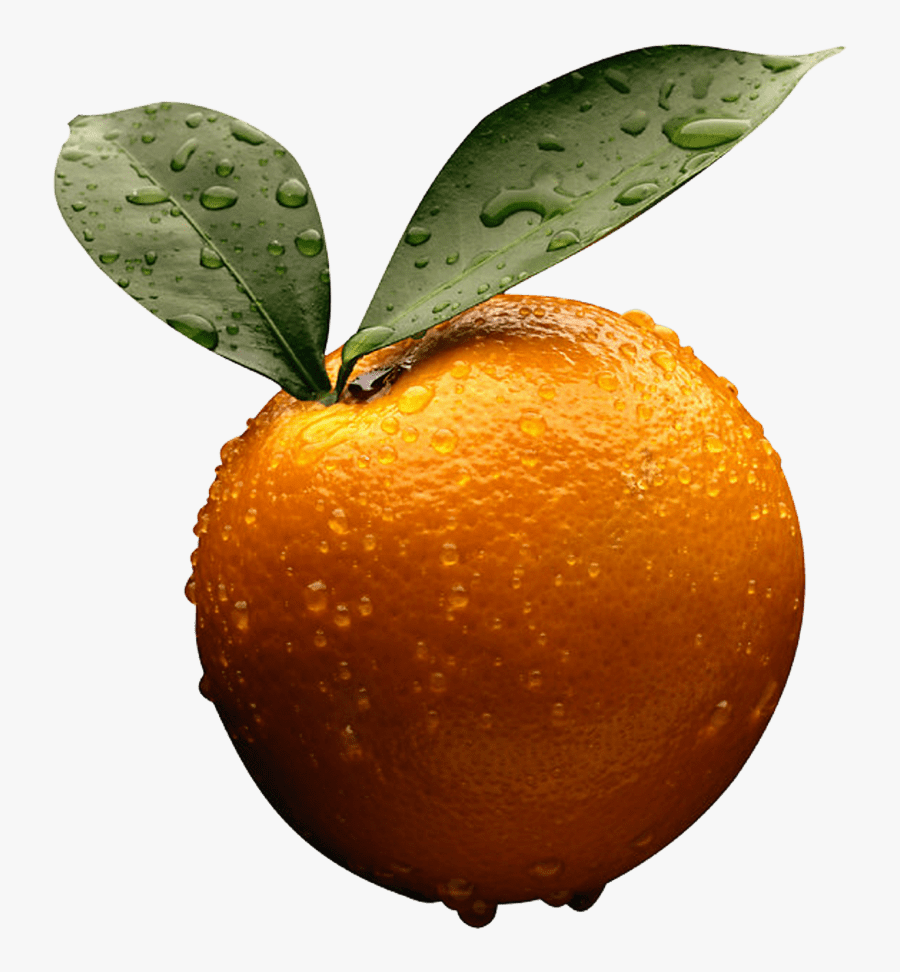 Orange-orange - Frank Wood Business Accounting, Transparent Clipart