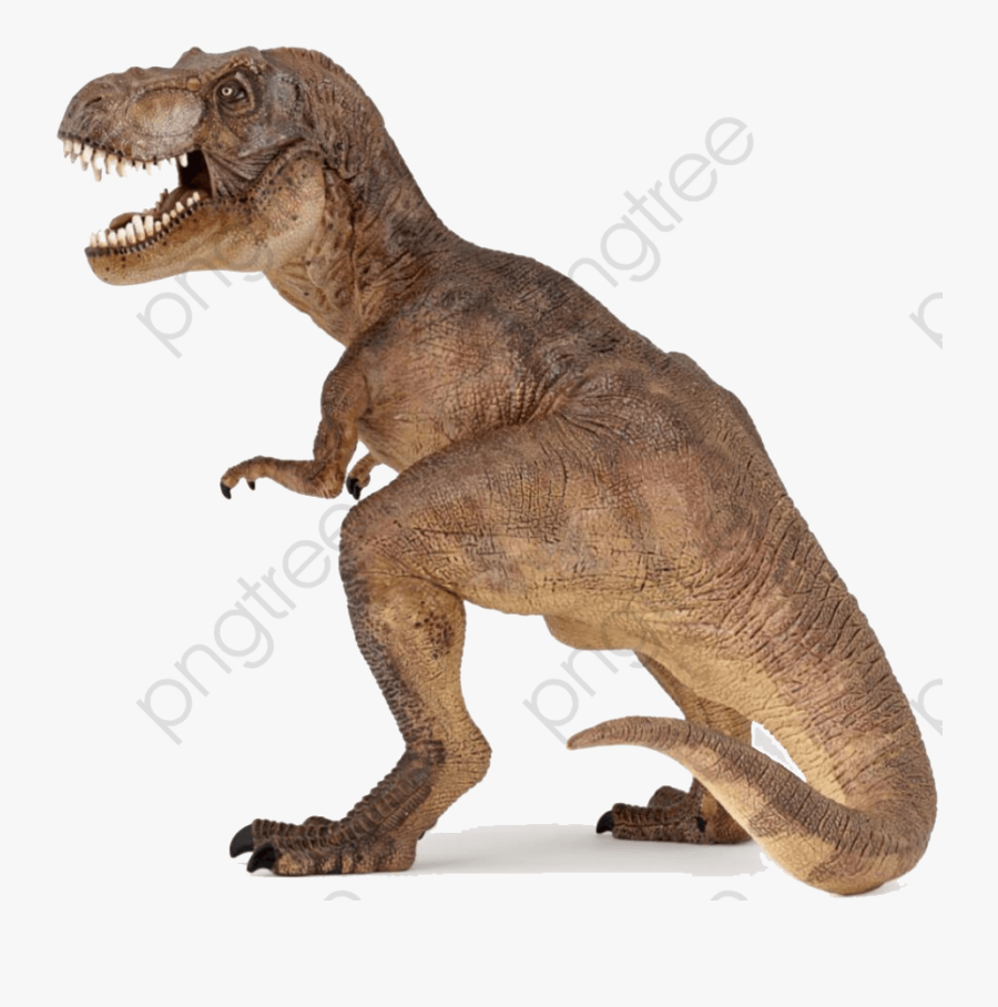 Dinosaur Png T Rex - T Rex Dinosaur, Transparent Clipart