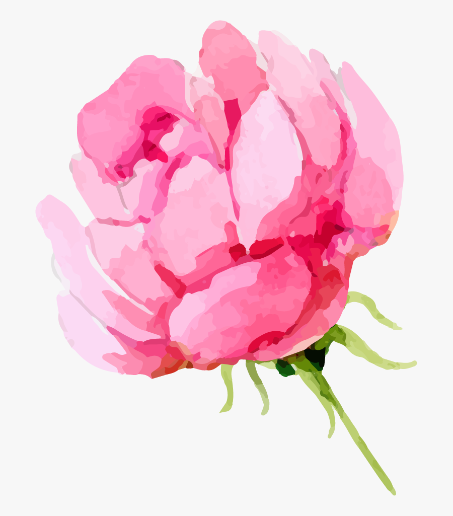 Share This Article - Peony Watercolor Pink Png Transparent, Transparent Clipart