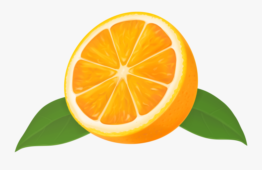 Orange Clipart Transparent - Transparent Half Orange, Transparent Clipart