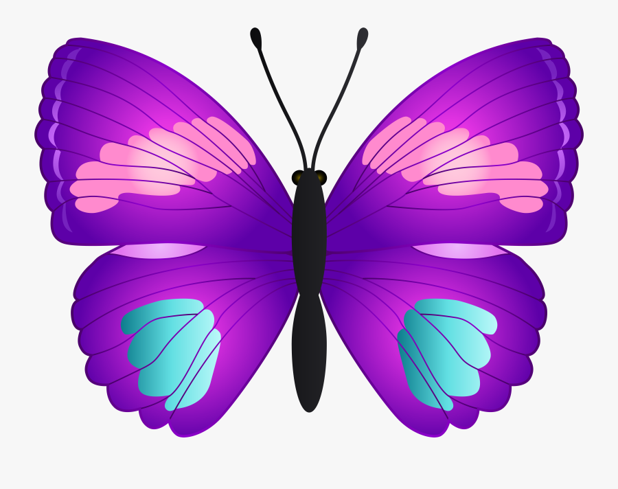 Butterfly Clipart Scrolls V, Transparent Clipart