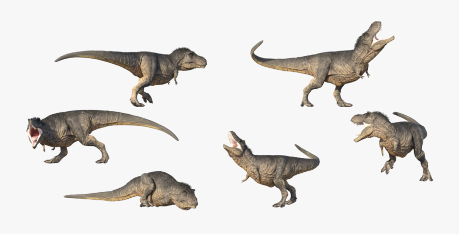 T Rex Clipart Realistic - T Rex Reference, Transparent Clipart