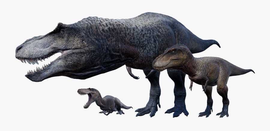 Transparent T Rex Clipart - T Rex The Isle, Transparent Clipart