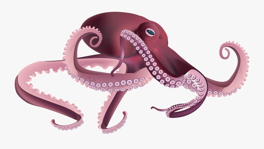 Oo Clipart Png Img - Octopus Without Background Png, Transparent Clipart