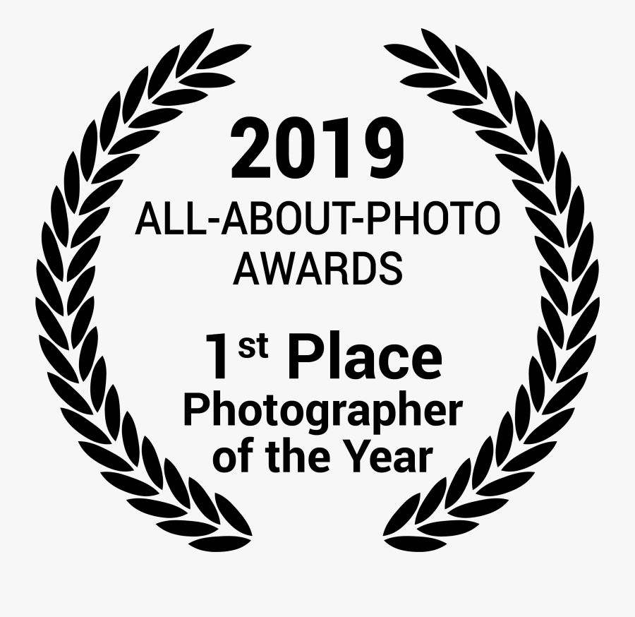 All About Photo Awards - Hojas De Olivo Png, Transparent Clipart