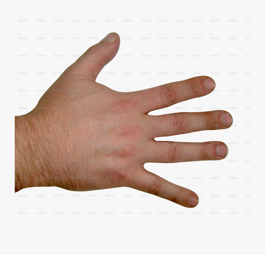 Nail Clipart Girl Hand - Male Back Of Hand, Transparent Clipart