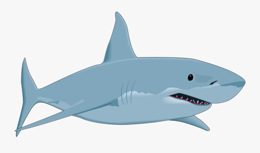 Transparent Shark Clipart - Transparent Background Shark Clipart, Transparent Clipart