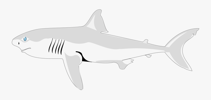 Shark Clipart Black Background, Transparent Clipart