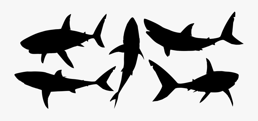 Photography - Great White Shark Silhouette, Transparent Clipart