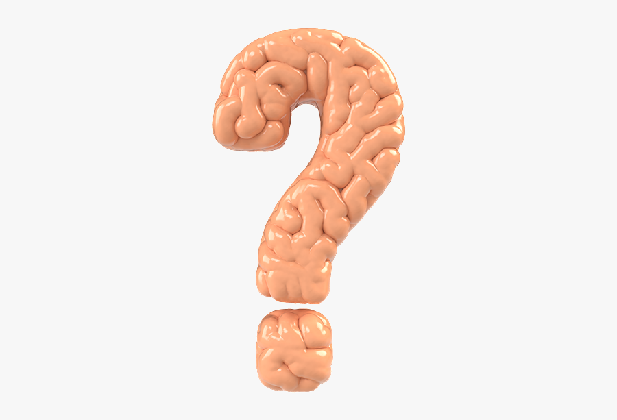 Question Mark Brain Clipart - Question Image With Brain, Transparent Clipart