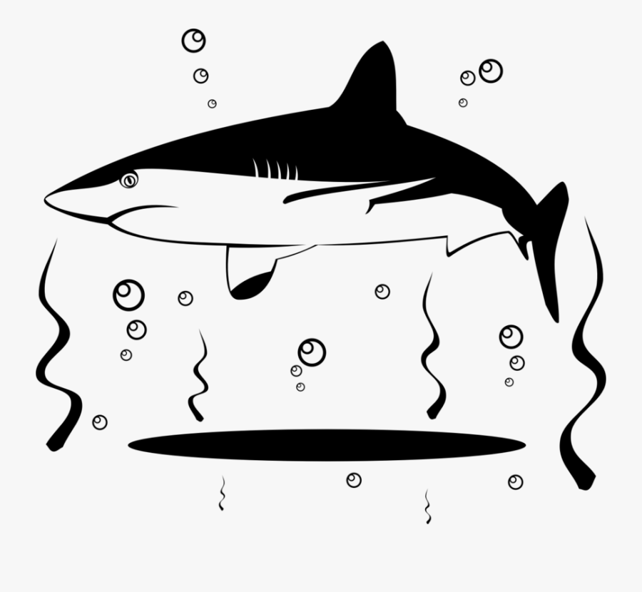 Shark Vector - Vector Graphics, Transparent Clipart