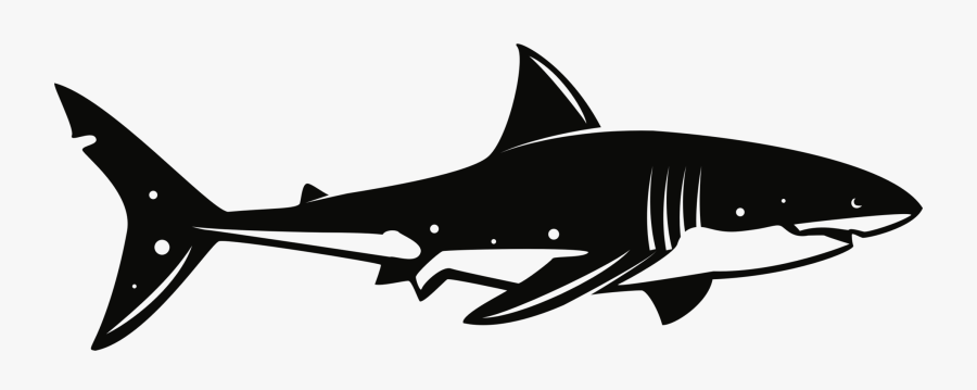 Lamnidae,shark,fish - Tubarão Vetor, Transparent Clipart