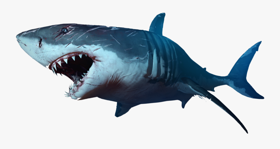 Pin By Arkhael Greed, Transparent Clipart
