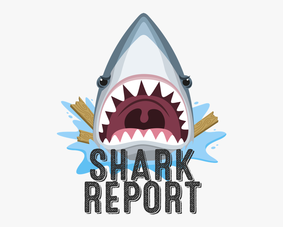 Shark Head Drawing Cartoon Clipart , Png Download - Great White Shark, Transparent Clipart