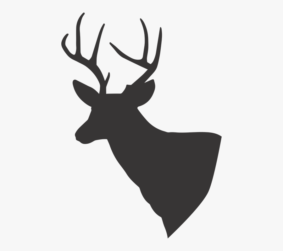 Transparent Deer Antler Clipart - White Tailed Deer Icon is a free transpar...