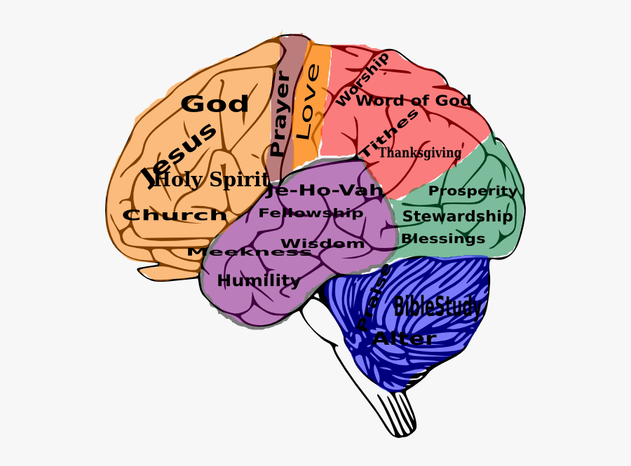 Brain Clipart Bandaid - Brain Clip Art, Transparent Clipart