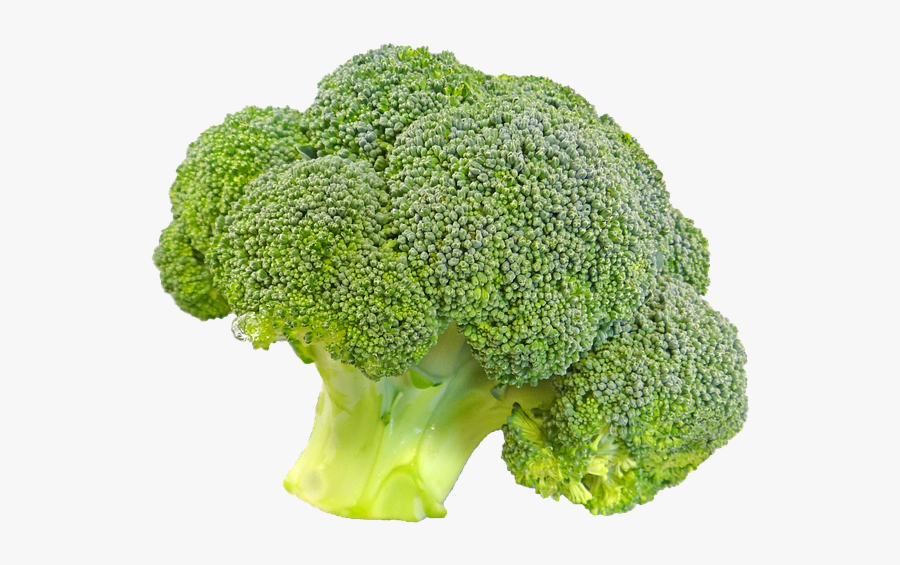 Broccoli Vegetable Wallpaper - Broccoli Png, Transparent Clipart