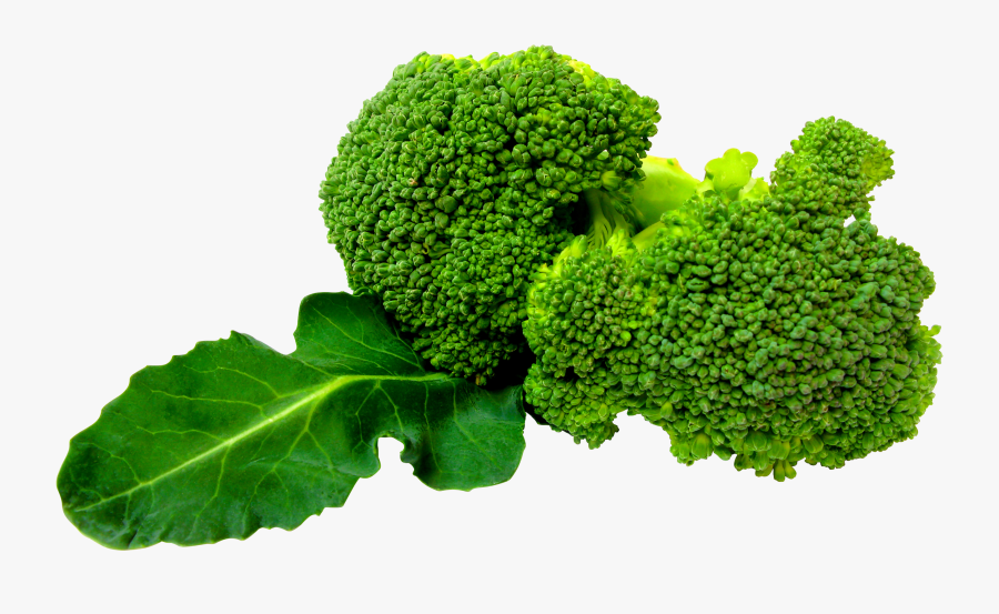 Image Free Pictures Download - Broccoli Png, Transparent Clipart