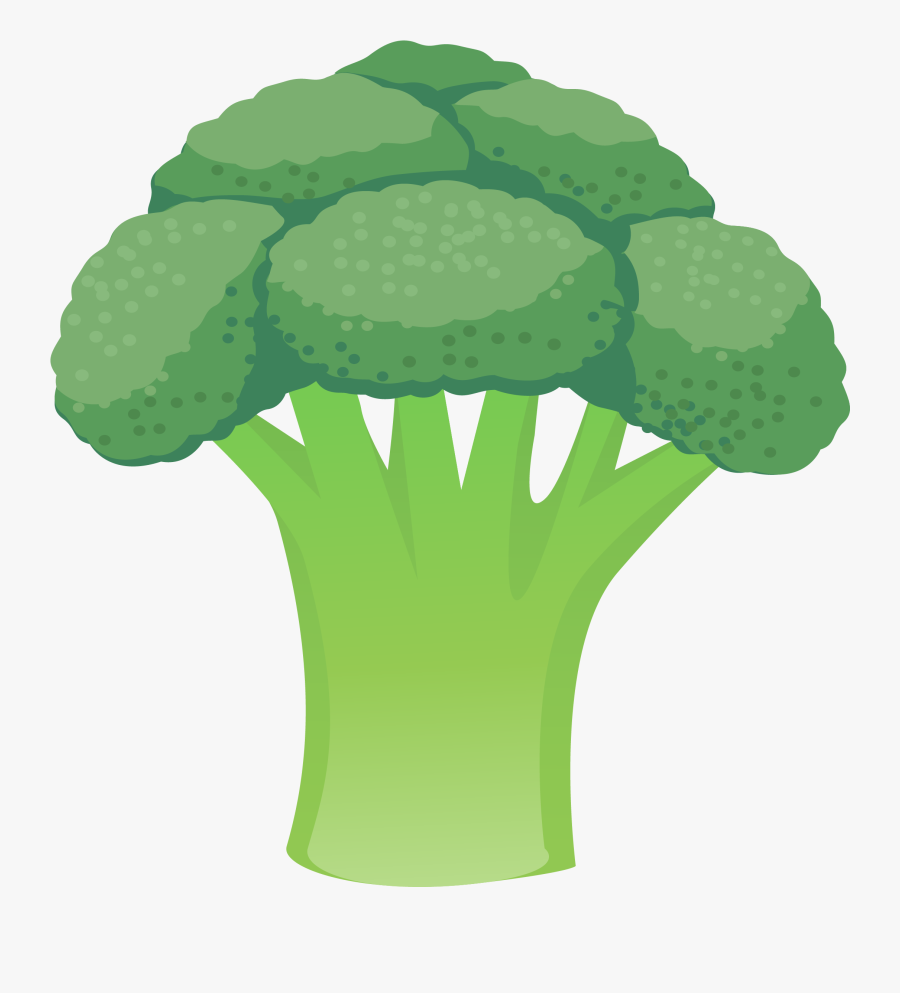 Cauliflower Vegetable Broccoli - Broccoli, Transparent Clipart