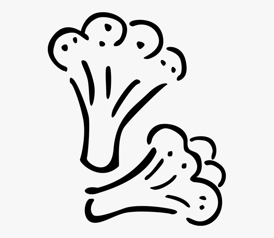 Vector Illustration Of Broccoli Edible Garden Vegetable, Transparent Clipart