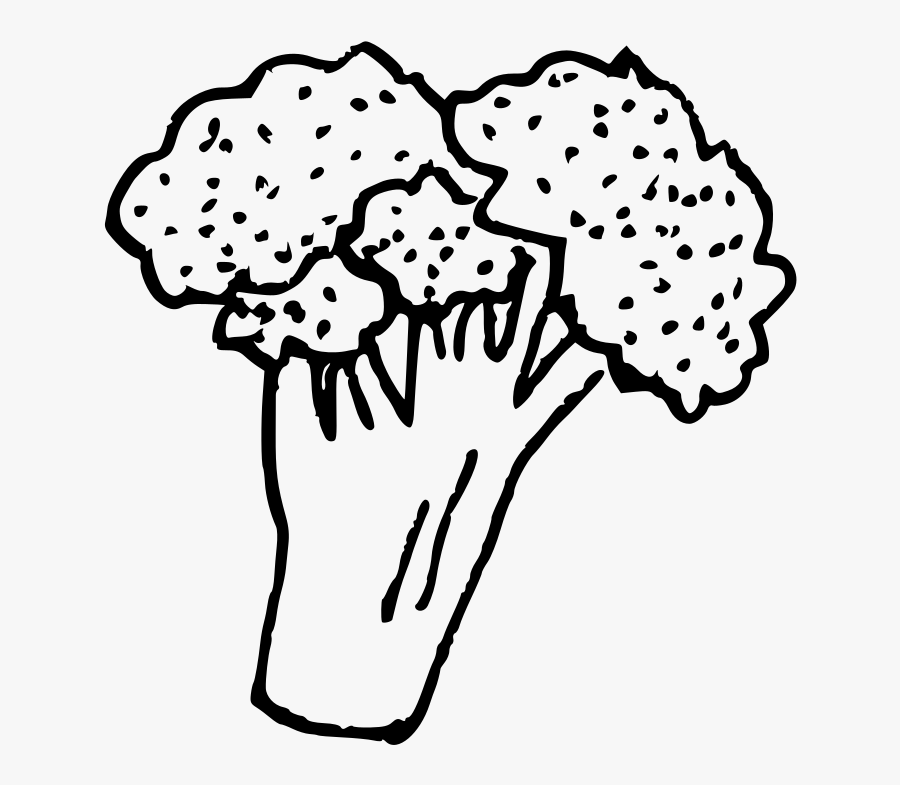 Transparent Broccoli Png - Line Art, Transparent Clipart