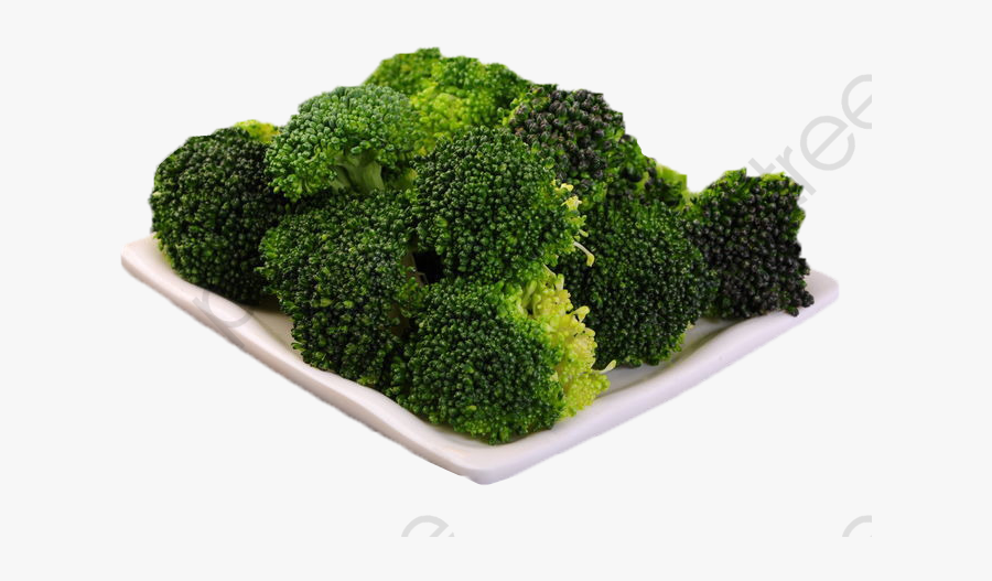 Broccoli Broccoli, Transparent Clipart