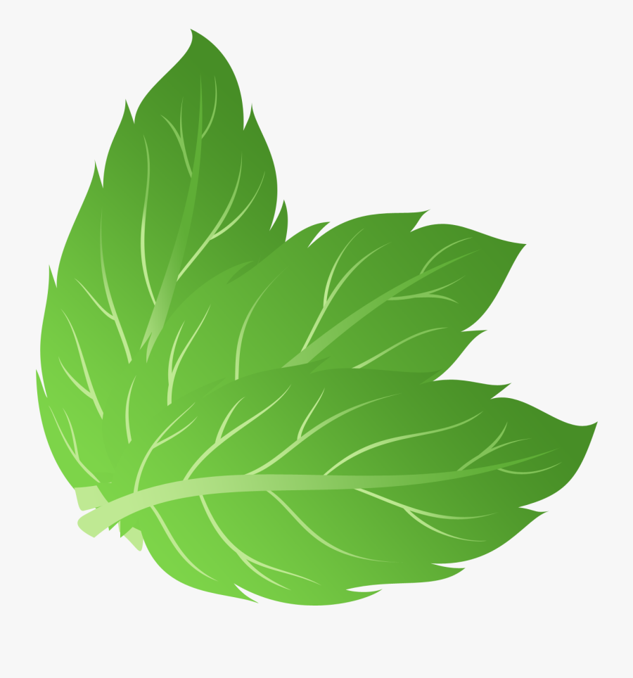 Mint Leaf Vector Png, Transparent Clipart
