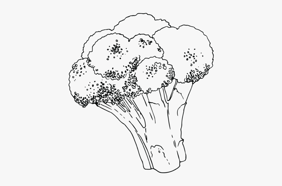 Sketch, Transparent Clipart