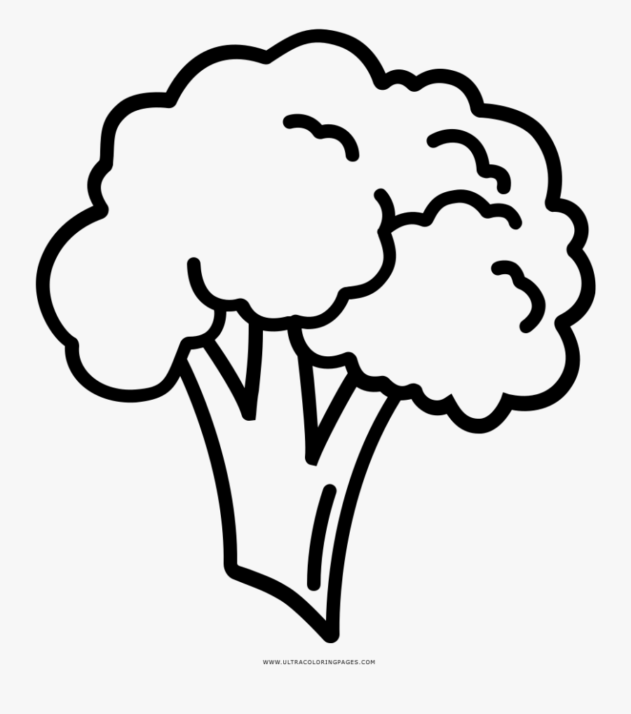 Broccoli Coloring Page - Broccoli Easy To Draw, Transparent Clipart