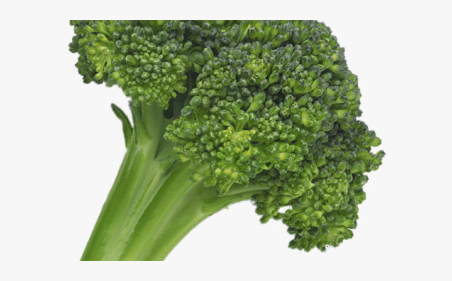 Hyperdimension Neptunia Broccoli Ripoff, Transparent Clipart