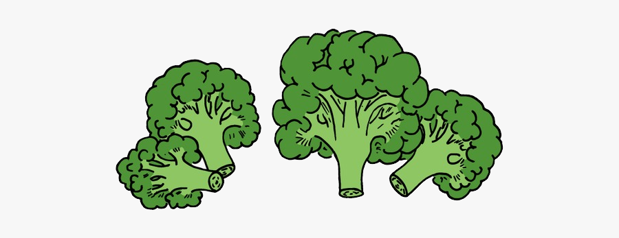 Broccoli Png - Cauliflower, Transparent Clipart