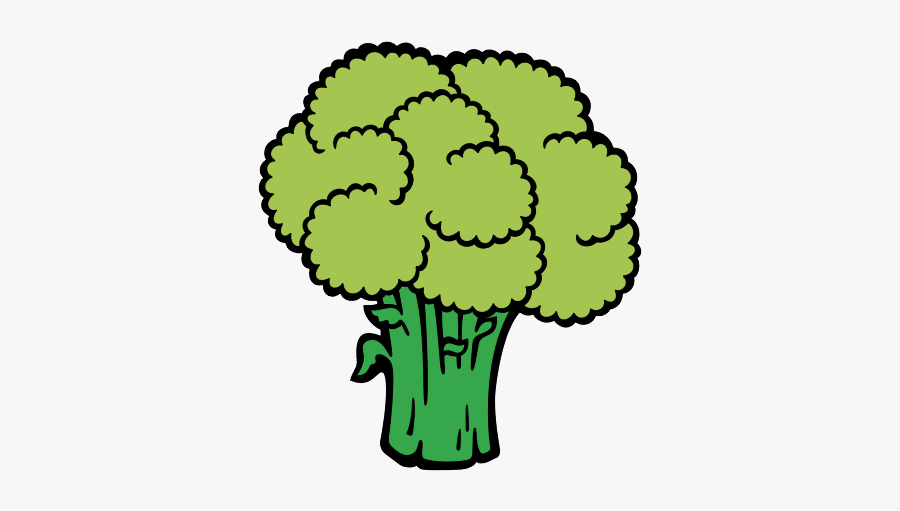 Broccoli Png - Brocoli Dibujo Para Colorear, Transparent Clipart