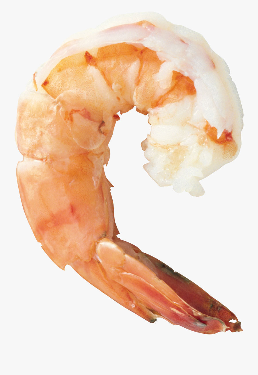 Shrimp Png , Free Transparent Clipart - ClipartKey