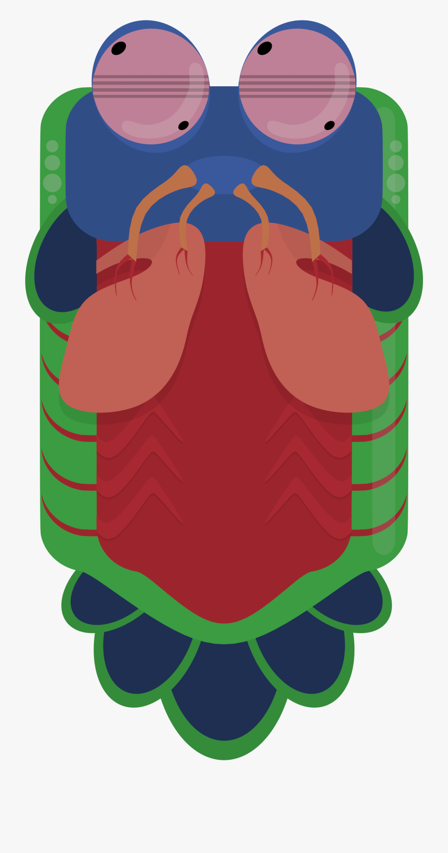 Deeeep Io Mantis Shrimp, Transparent Clipart
