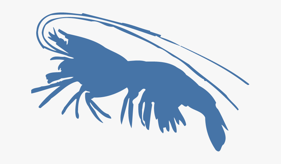 Blue Shrimp Png, Transparent Clipart