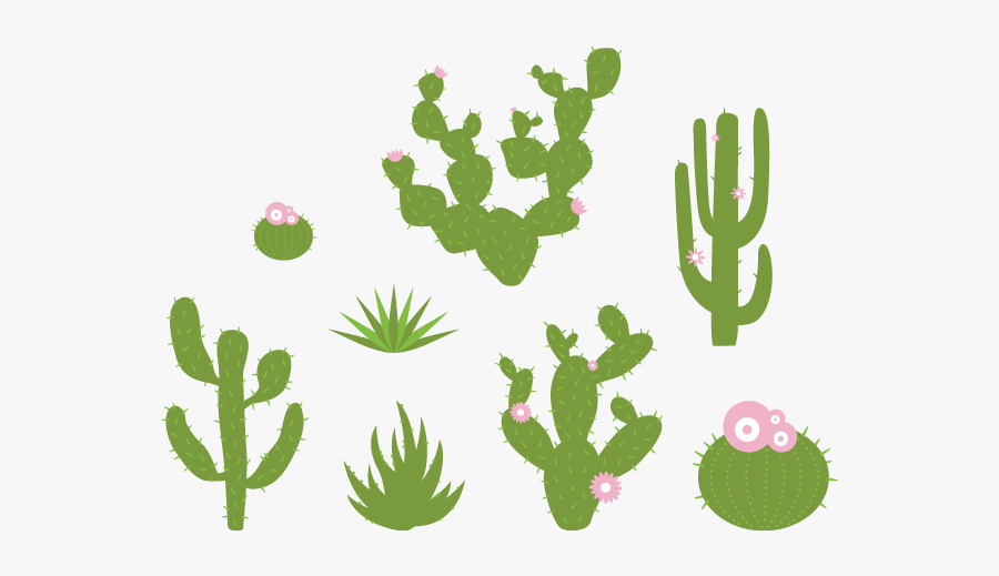 Desert Plants Wall Decals - Prickly Pear Cactus Decal, Transparent Clipart
