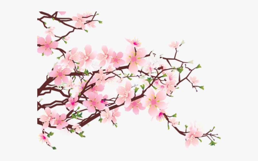 Sakura Clipart Blosson - Cherry Blossom Tree Png Transparent, Transparent Clipart