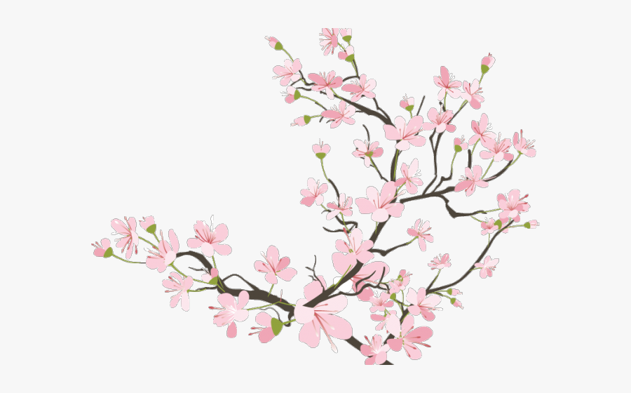 Transparent Cherry Blossom Branch Clipart - Transparent Background Cherry Blossom Png, Transparent Clipart