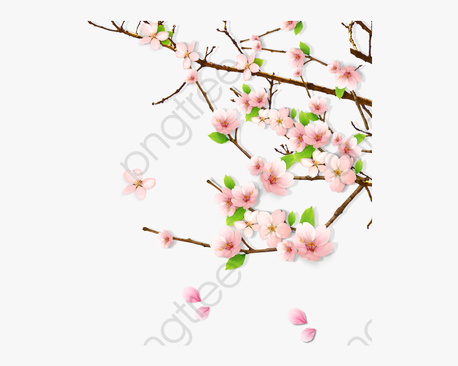 Peach Blossom Spring, Spring, Peach Blossom, Flowering - Peach Blossom Png Aesthetic, Transparent Clipart