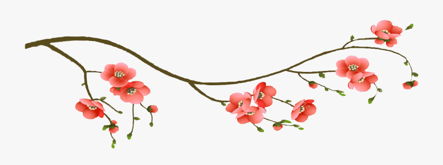 Cherry Blossom Transparent Background, Transparent Clipart